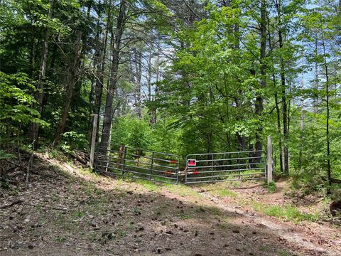 Unimproved Land in Other NY L14 L15 Butler Pond Road.jpg