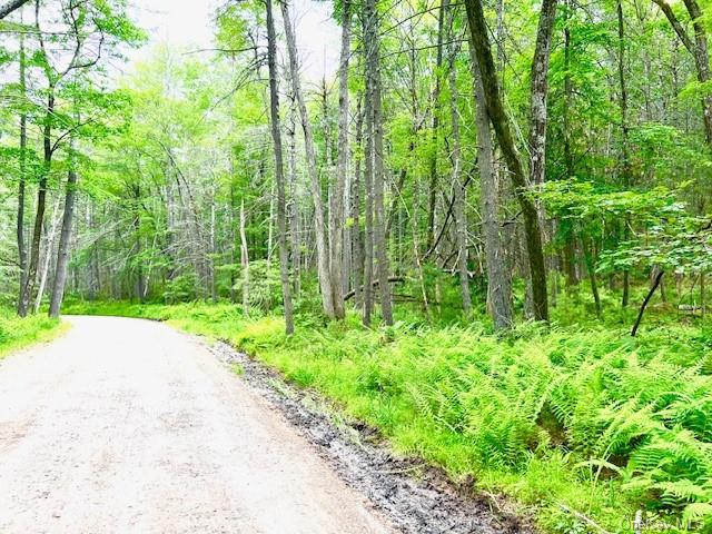 Loch Ada Road, Glen Spey, New York image 6