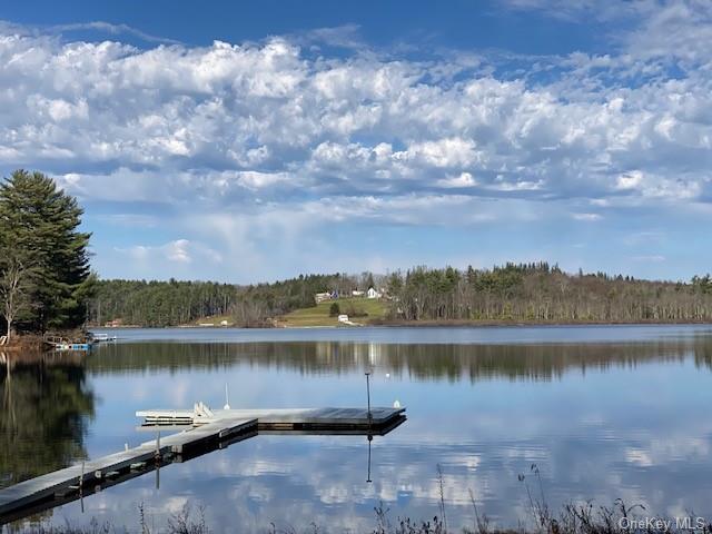 Loch Ada Road, Glen Spey, New York image 1