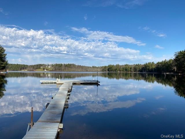 Loch Ada Road, Glen Spey, New York image 4