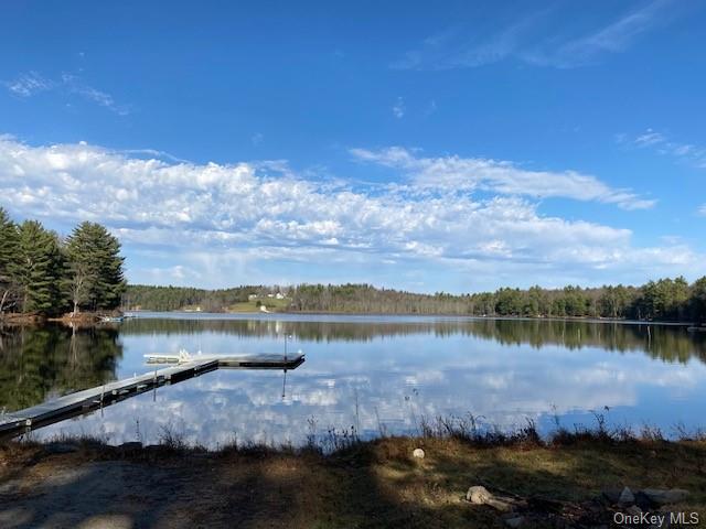 Loch Ada Road, Glen Spey, New York image 2