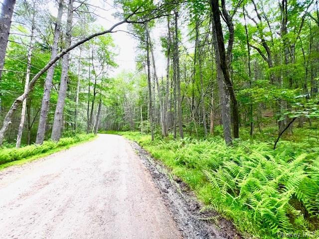 Loch Ada Road, Glen Spey, New York image 9