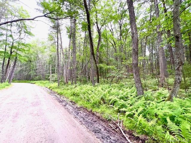 Loch Ada Road, Glen Spey, New York image 7