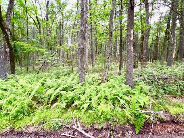 Loch Ada Road, Glen Spey, New York image 8