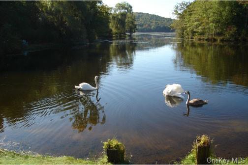 Ponderosa Road, Carmel, New York image 4