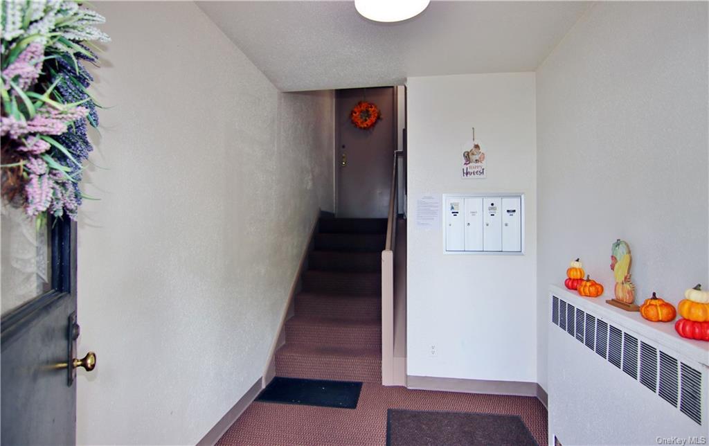 19 Avon Circle Apt. A Avon Cir #A, Port Chester, New York image 3