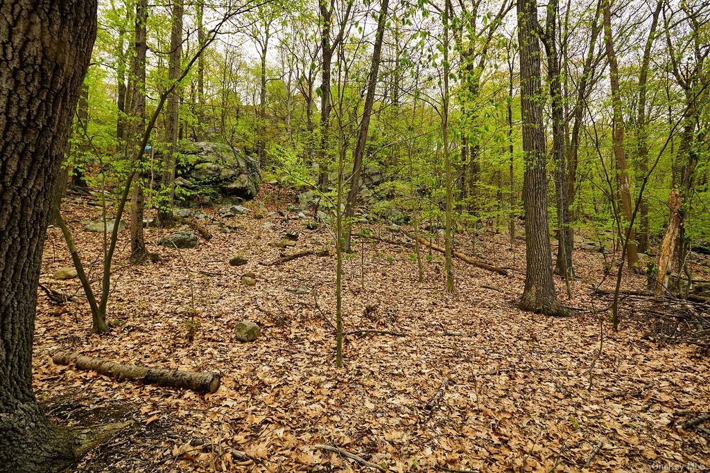 7 Springhouse Road, Sloatsburg, New York image 30