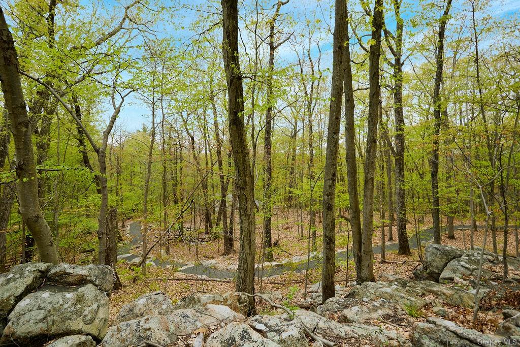 7 Springhouse Road, Sloatsburg, New York image 5