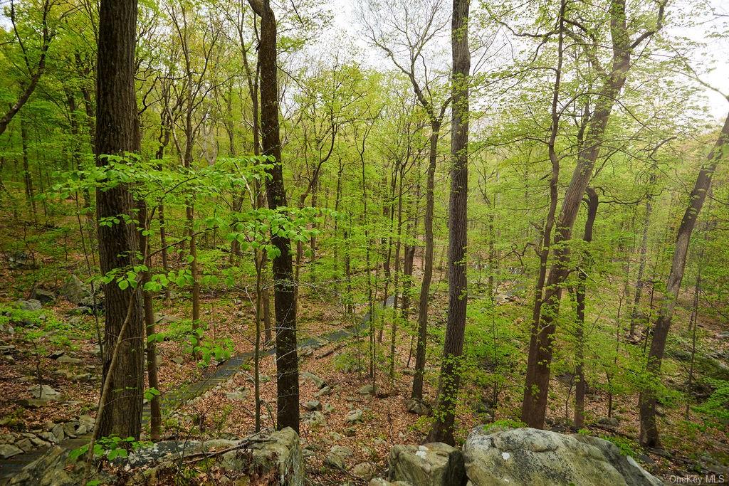7 Springhouse Road, Sloatsburg, New York image 16