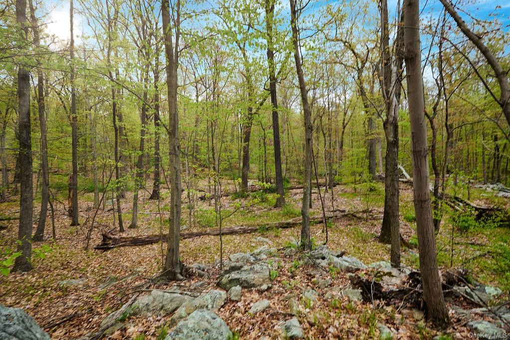 7 Springhouse Road, Sloatsburg, New York image 6