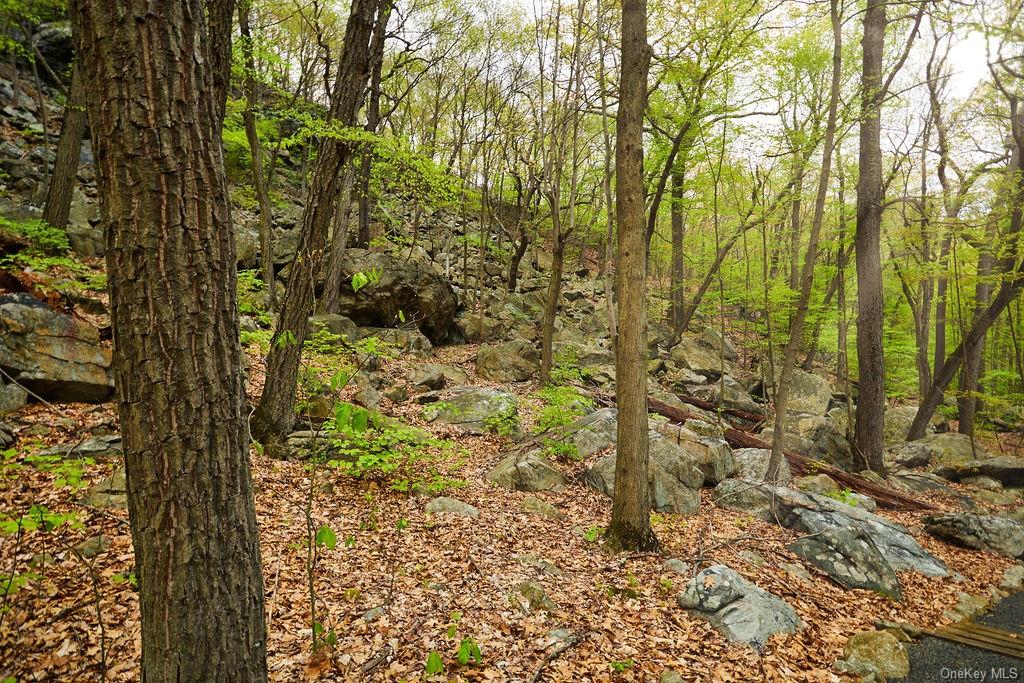 7 Springhouse Road, Sloatsburg, New York image 27