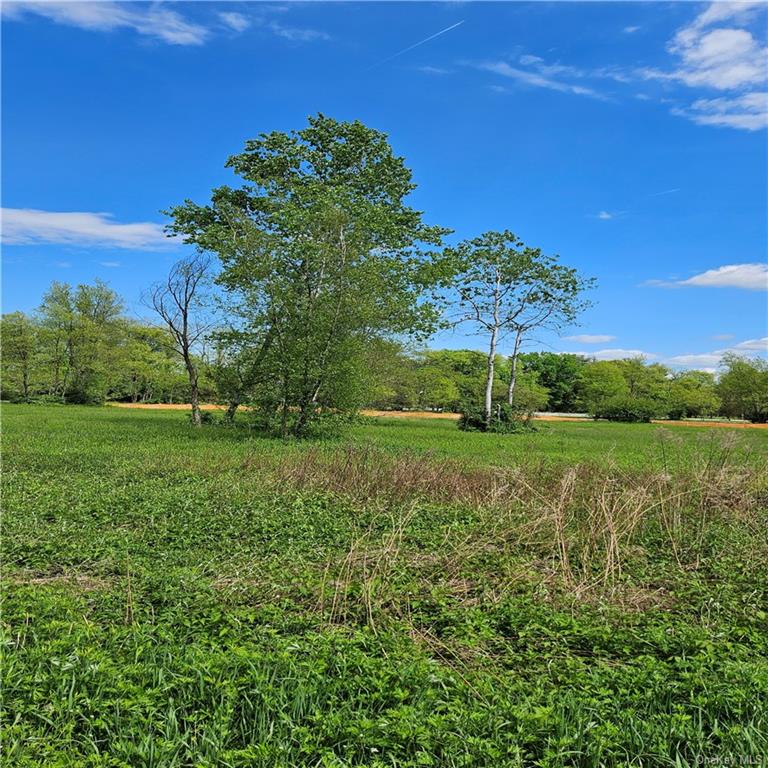 Wappinger Farm Estates, Lot 3, Robinson Lane, Wappingers Falls, New York image 2