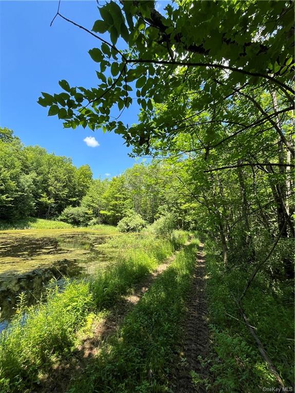 Dahlia Lot 2 Road, Livingston Manor, New York image 16