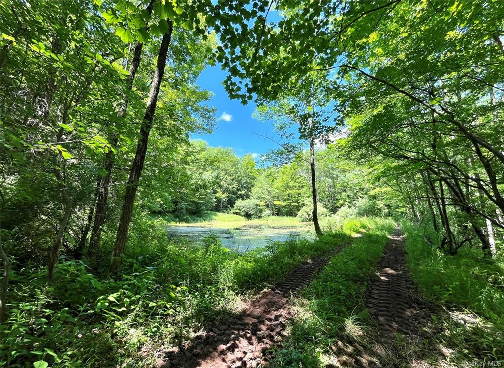 Dahlia Lot 2 Road, Livingston Manor, New York image 1