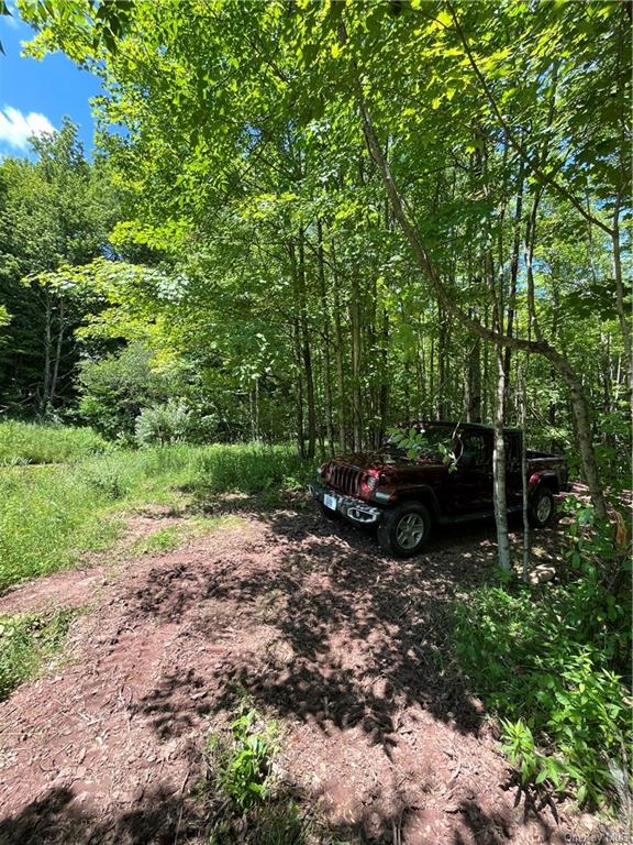 Dahlia Lot 2 Road, Livingston Manor, New York image 5