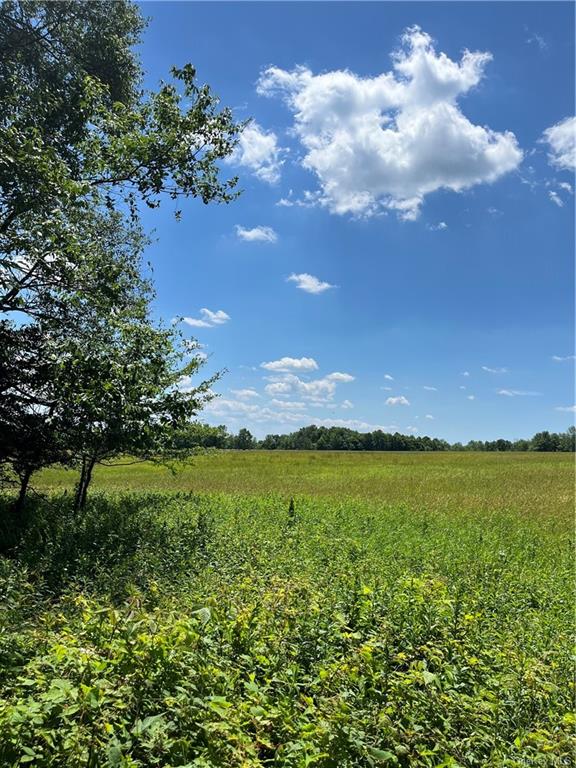 Dahlia Lot 2 Road, Livingston Manor, New York image 7