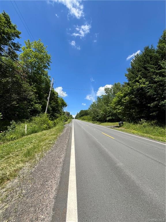 Dahlia Lot 2 Road, Livingston Manor, New York image 8