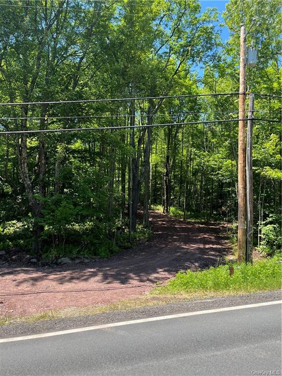 Dahlia Lot 2 Road, Livingston Manor, New York image 27