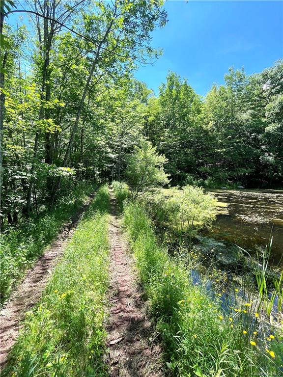 Dahlia Lot 2 Road, Livingston Manor, New York image 11