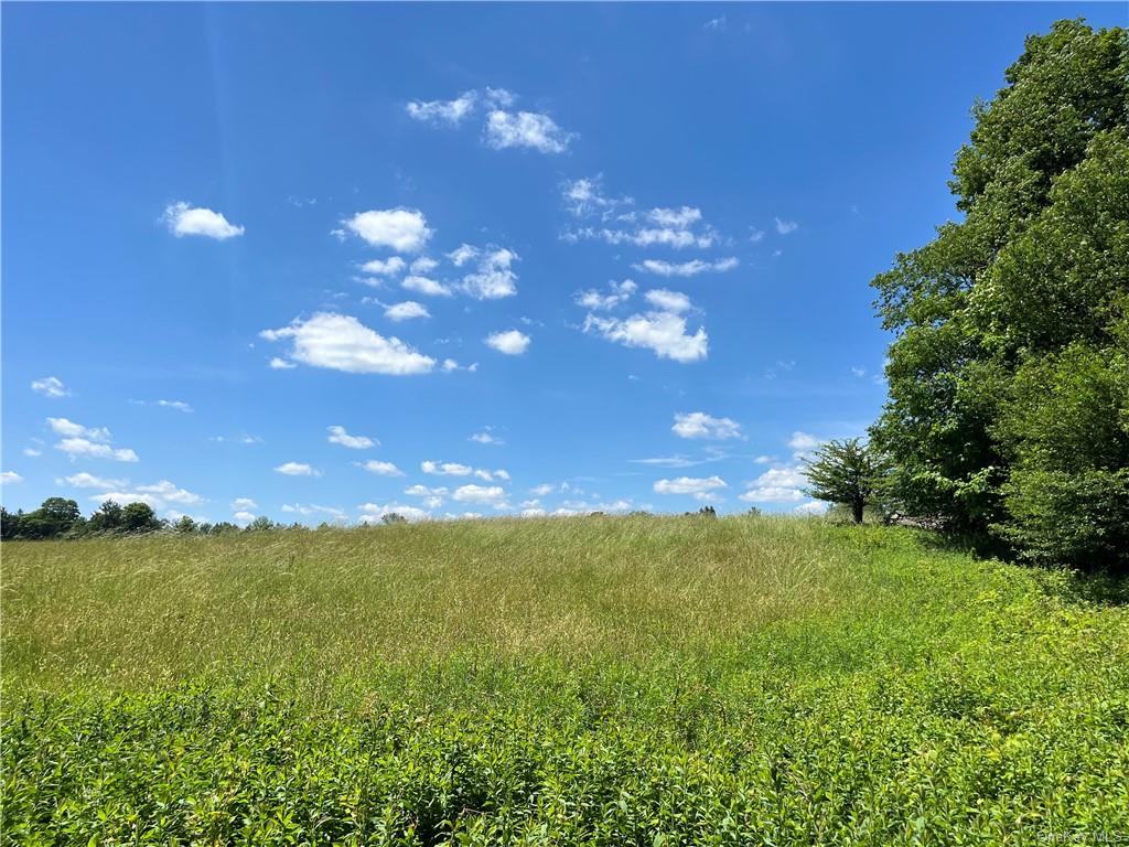 Dahlia Lot 2 Road, Livingston Manor, New York image 6