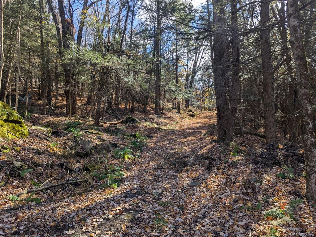 Lyman Todd Drive, Arkville, New York image 1