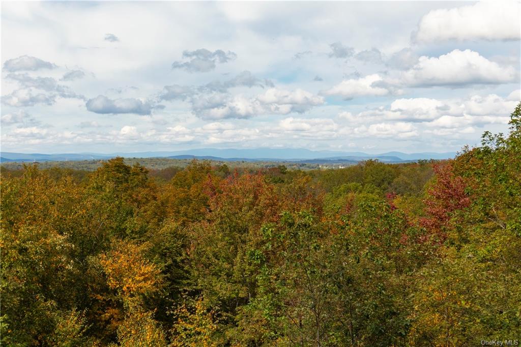 Skidmore Road, Pleasant Valley, New York image 1