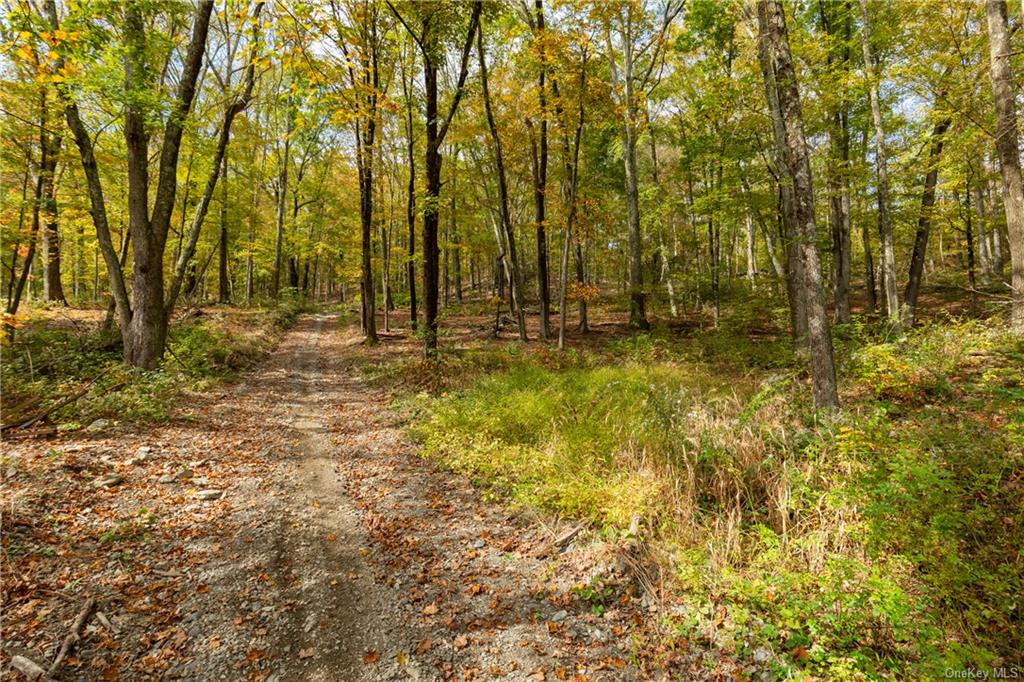 Skidmore Road, Pleasant Valley, New York image 7