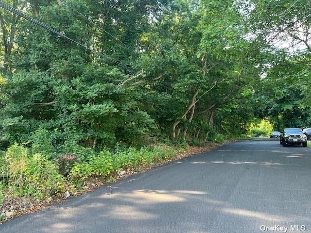 Avenue C, Ronkonkoma, New York image 1