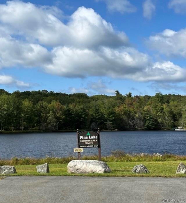 Lot 20 Pine Lake Drive, Wurtsboro, New York image 1