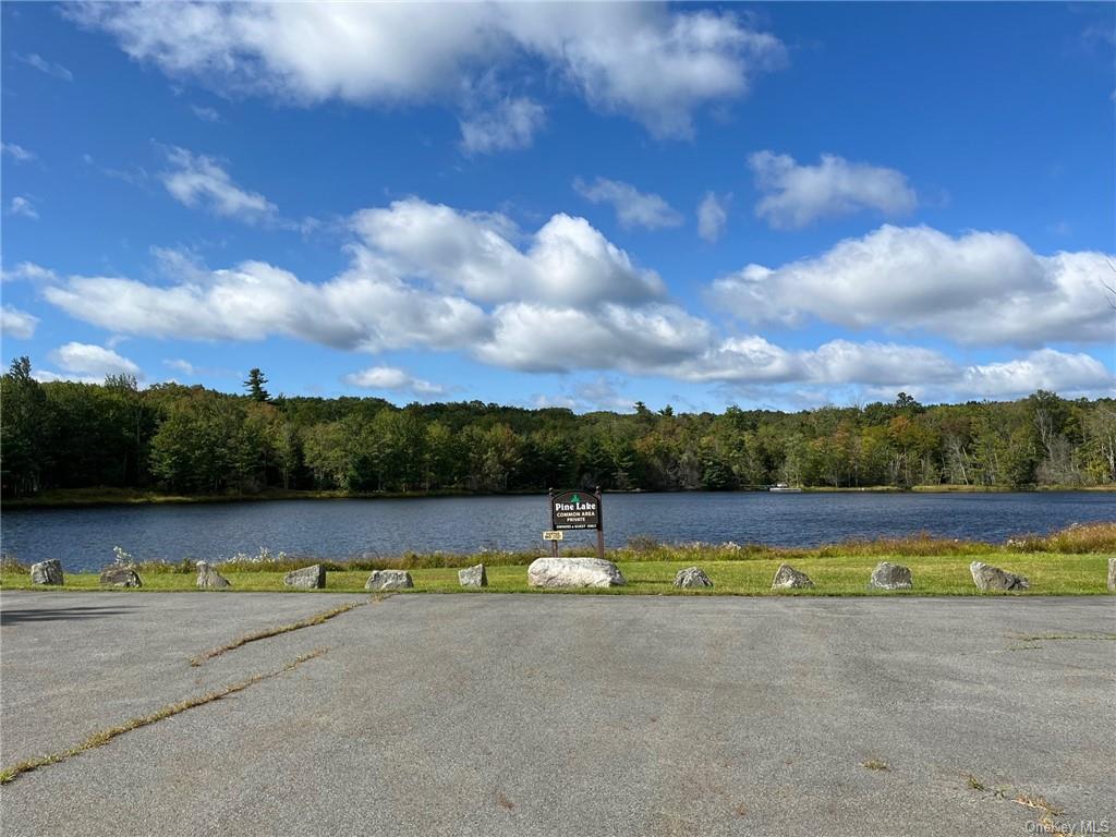 Lot 20 Pine Lake Drive, Wurtsboro, New York image 3