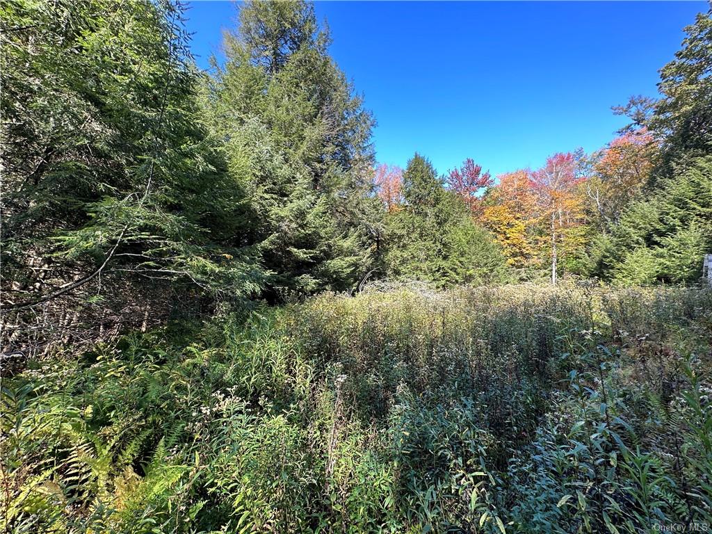 Benton Hollow Road, Liberty, New York image 1