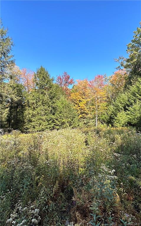 Benton Hollow Road, Liberty, New York image 2