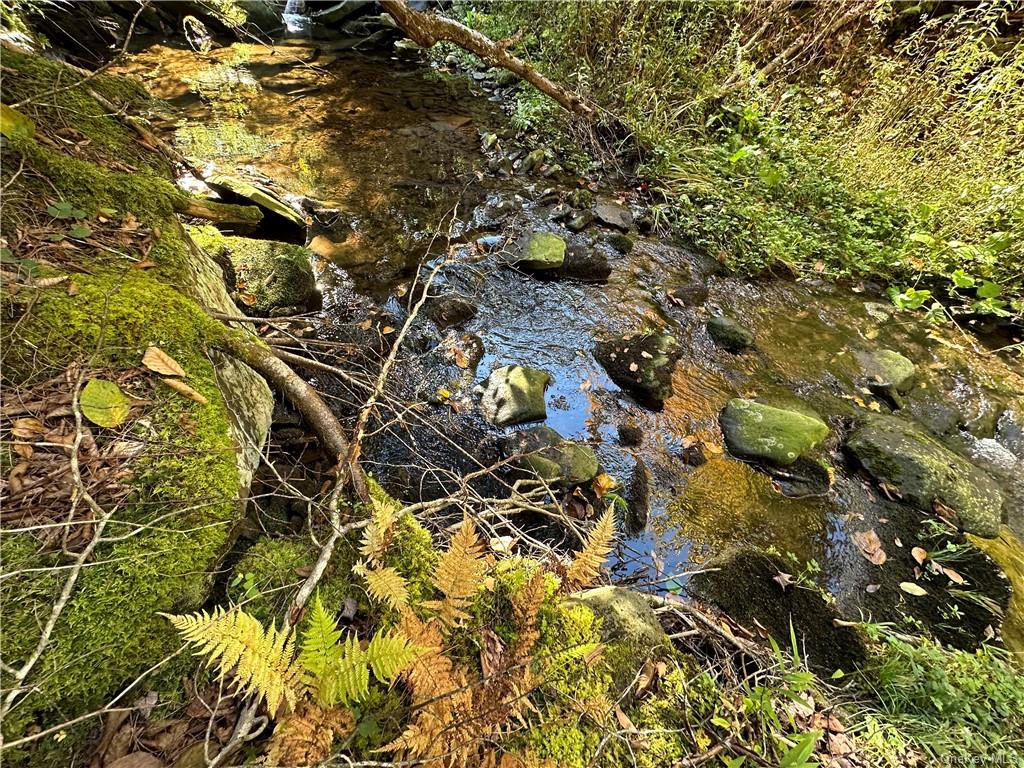 Benton Hollow Road, Liberty, New York image 6