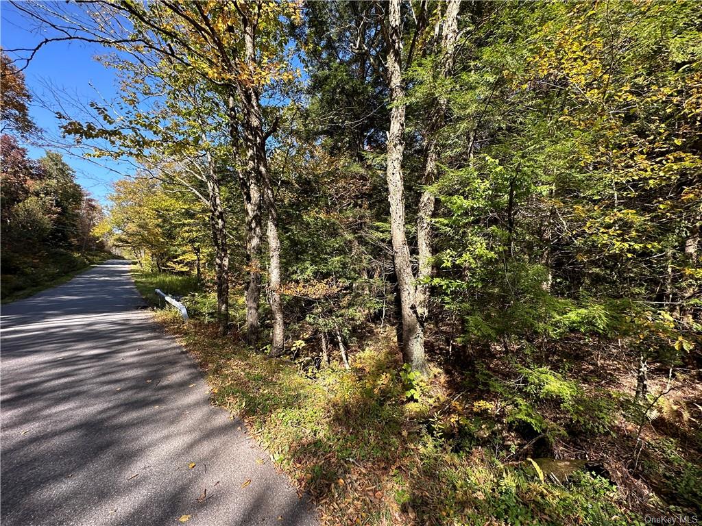 Benton Hollow Road, Liberty, New York image 14