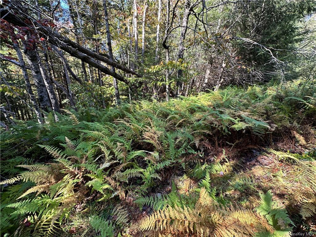 Benton Hollow Road, Liberty, New York image 4