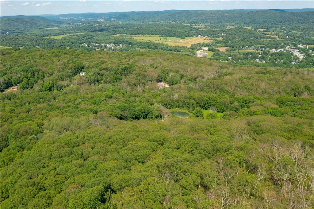 Northrup Road, Dover Plains, New York image 7