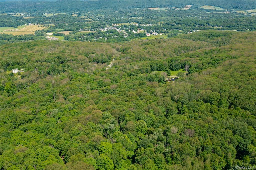 Northrup Road, Dover Plains, New York image 8