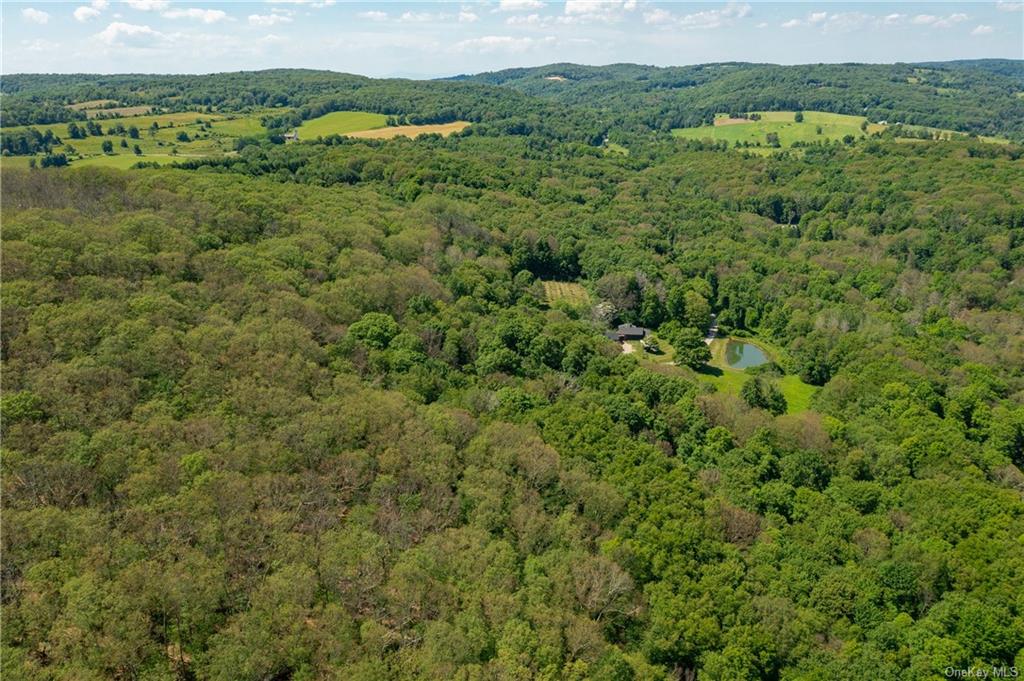 Northrup Road, Dover Plains, New York image 6