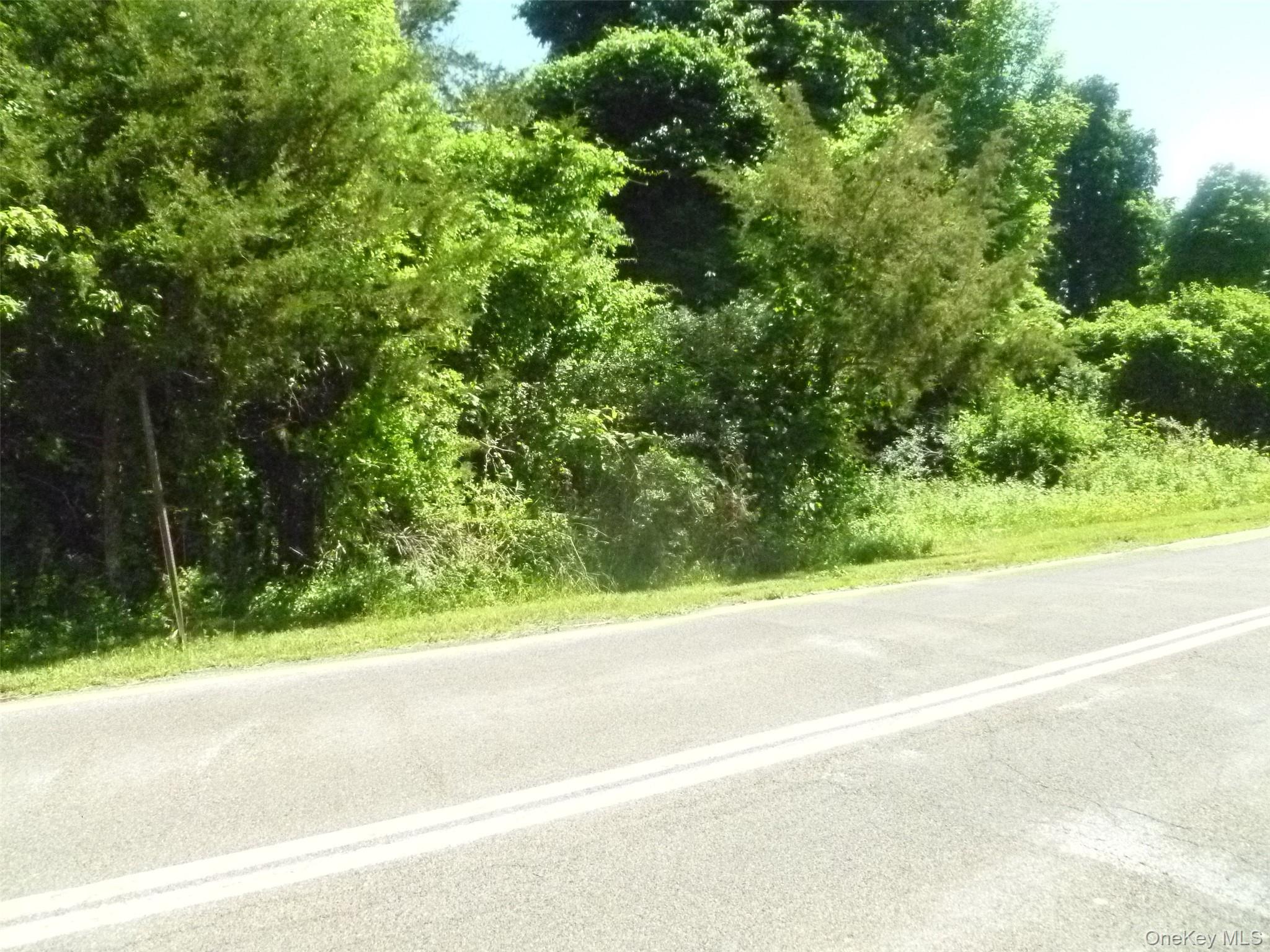 Holmes Road
