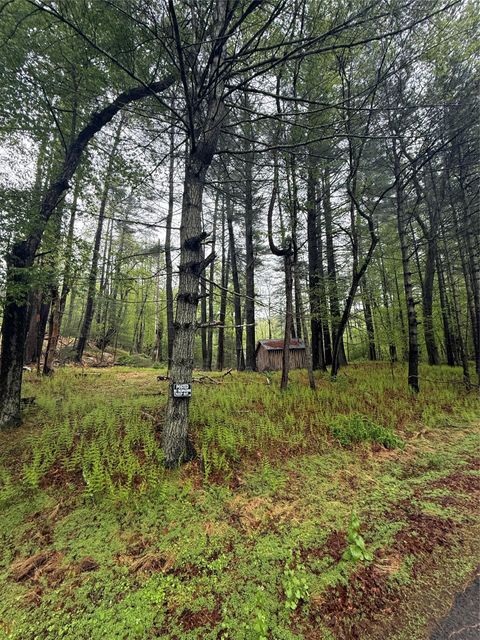 Hankins Narrowsburg NY 