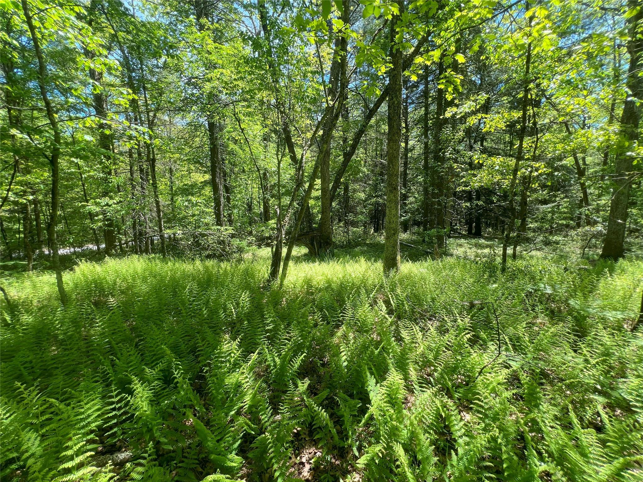 Lot 19 Brook Drive, Narrowsburg, New York image 3