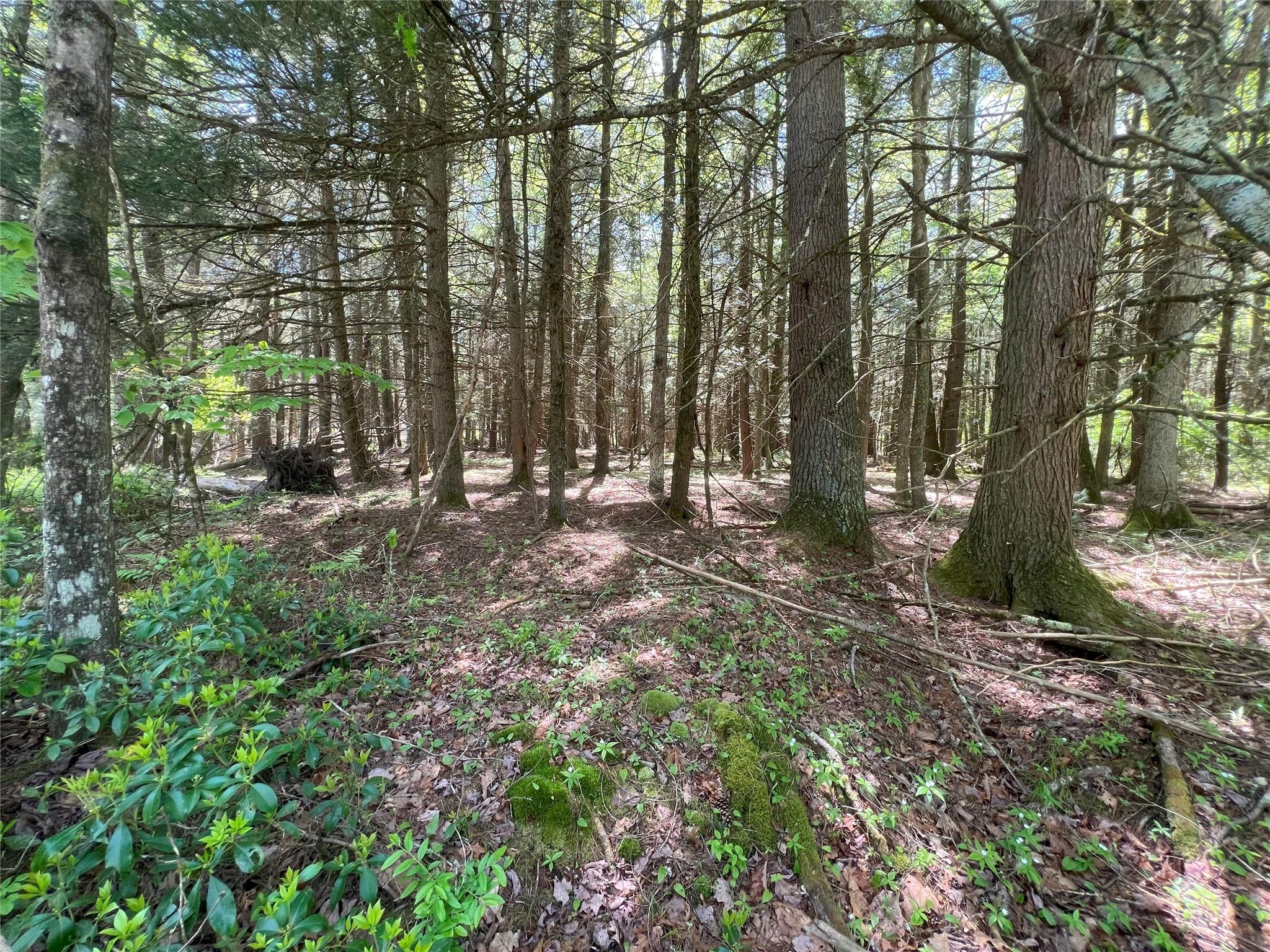 Lot 19 Brook Drive, Narrowsburg, New York image 5