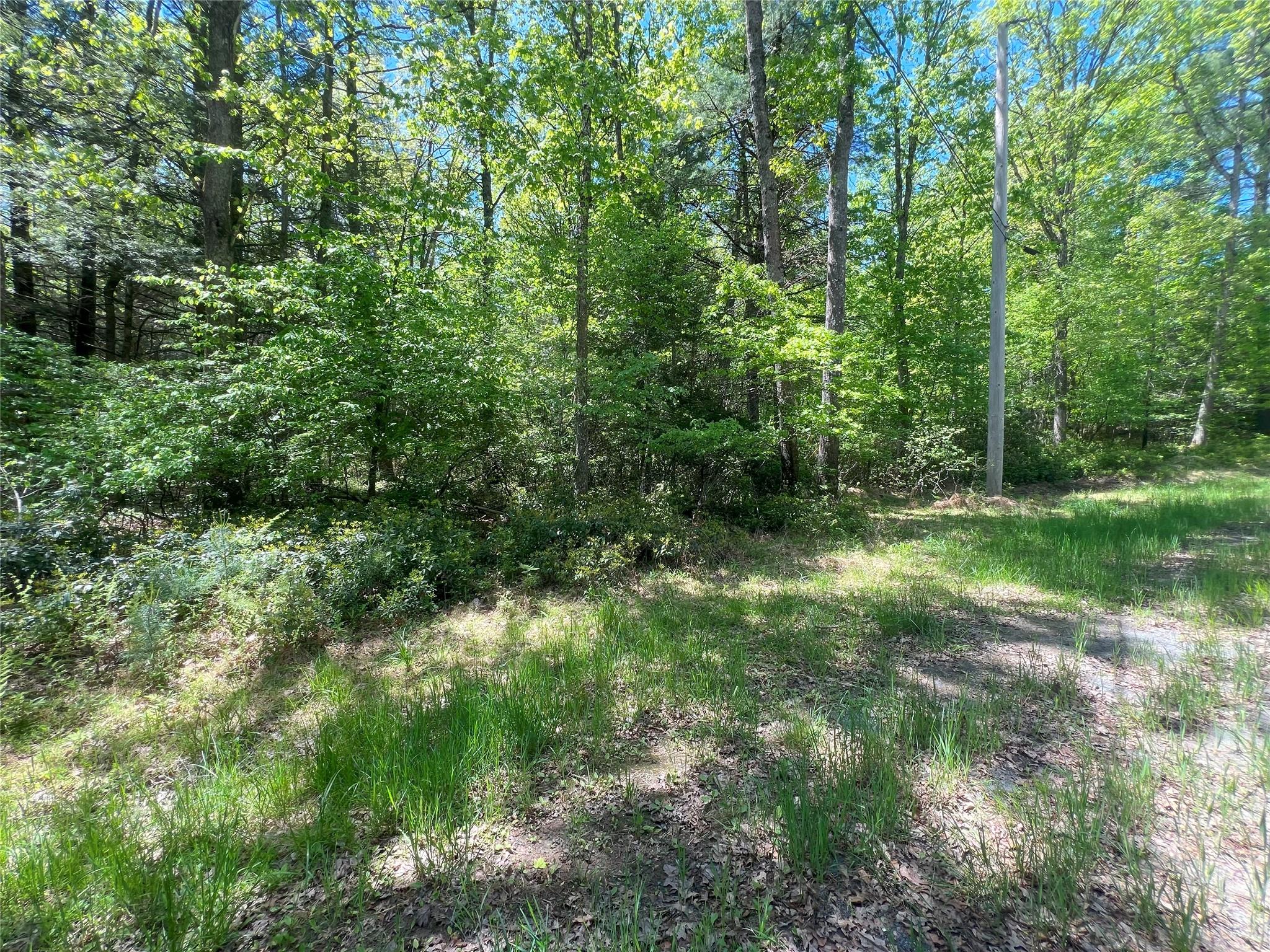 Lot 19 Brook Drive, Narrowsburg, New York image 4