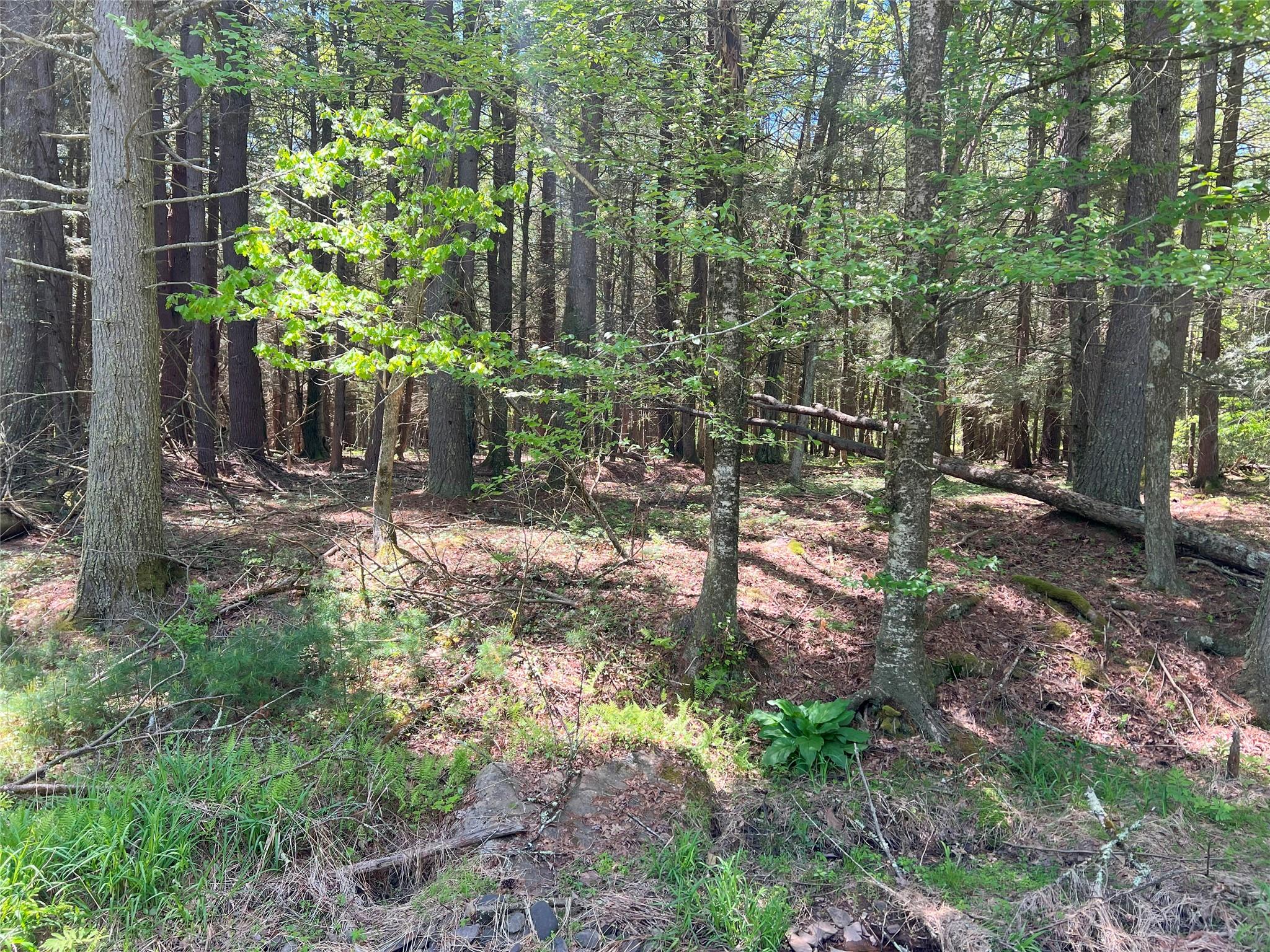 Lot 19 Brook Drive, Narrowsburg, New York image 8