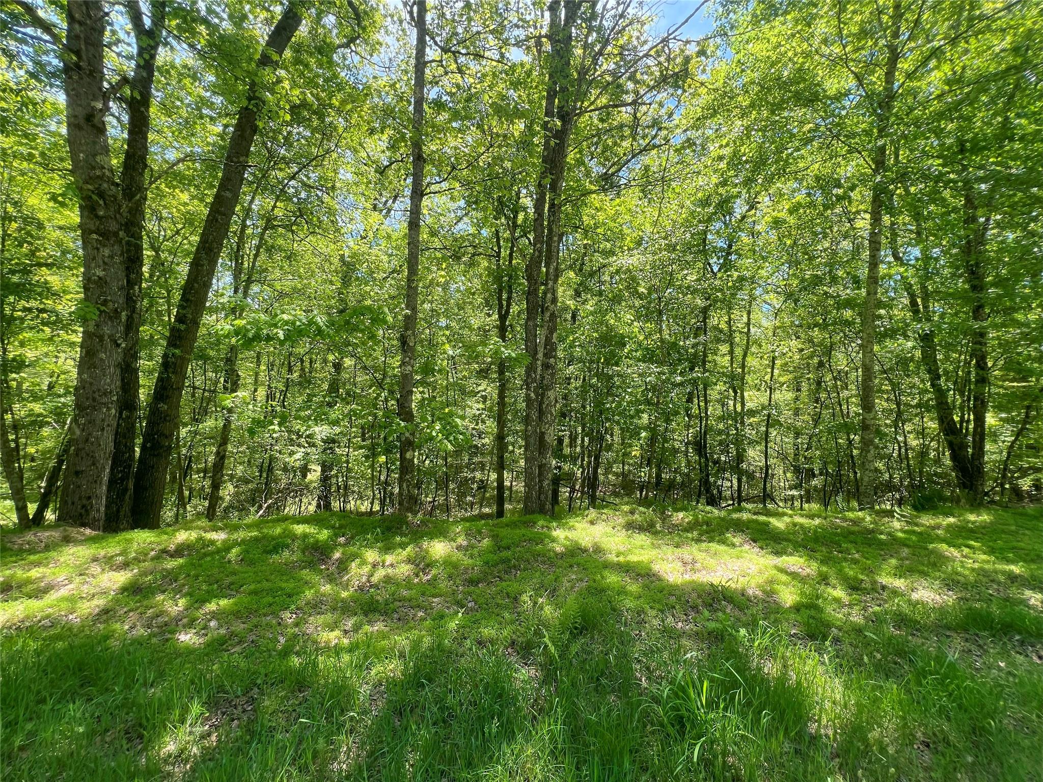 Lot 19 Brook Drive, Narrowsburg, New York image 1
