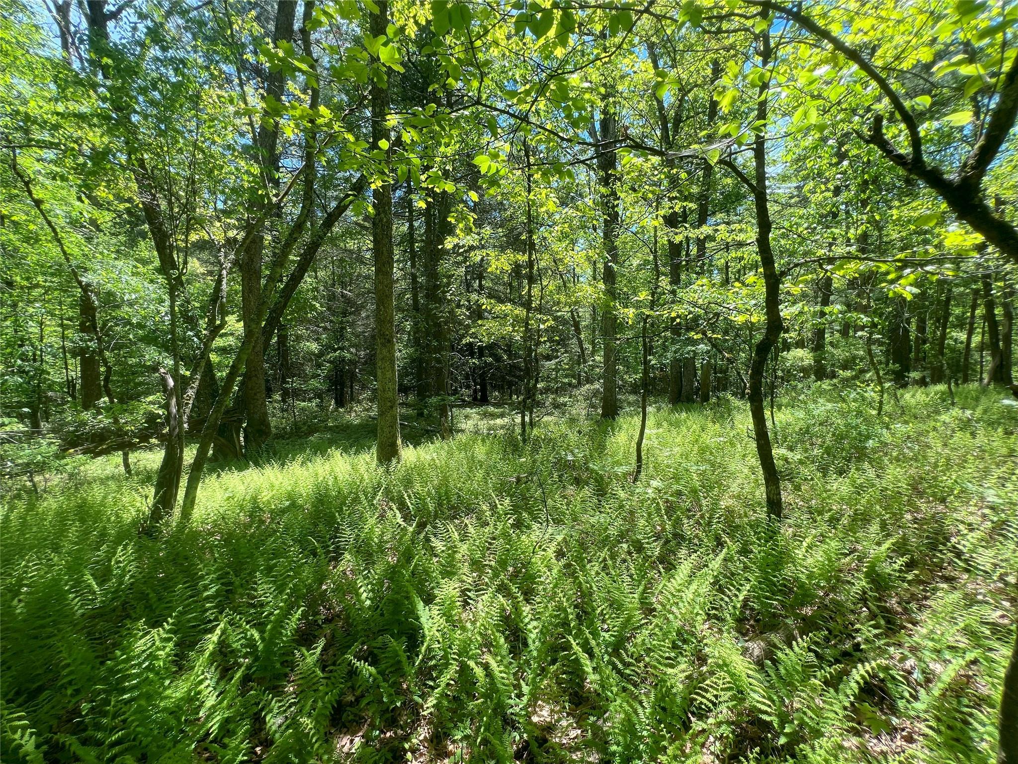 Lot 19 Brook Drive, Narrowsburg, New York image 2