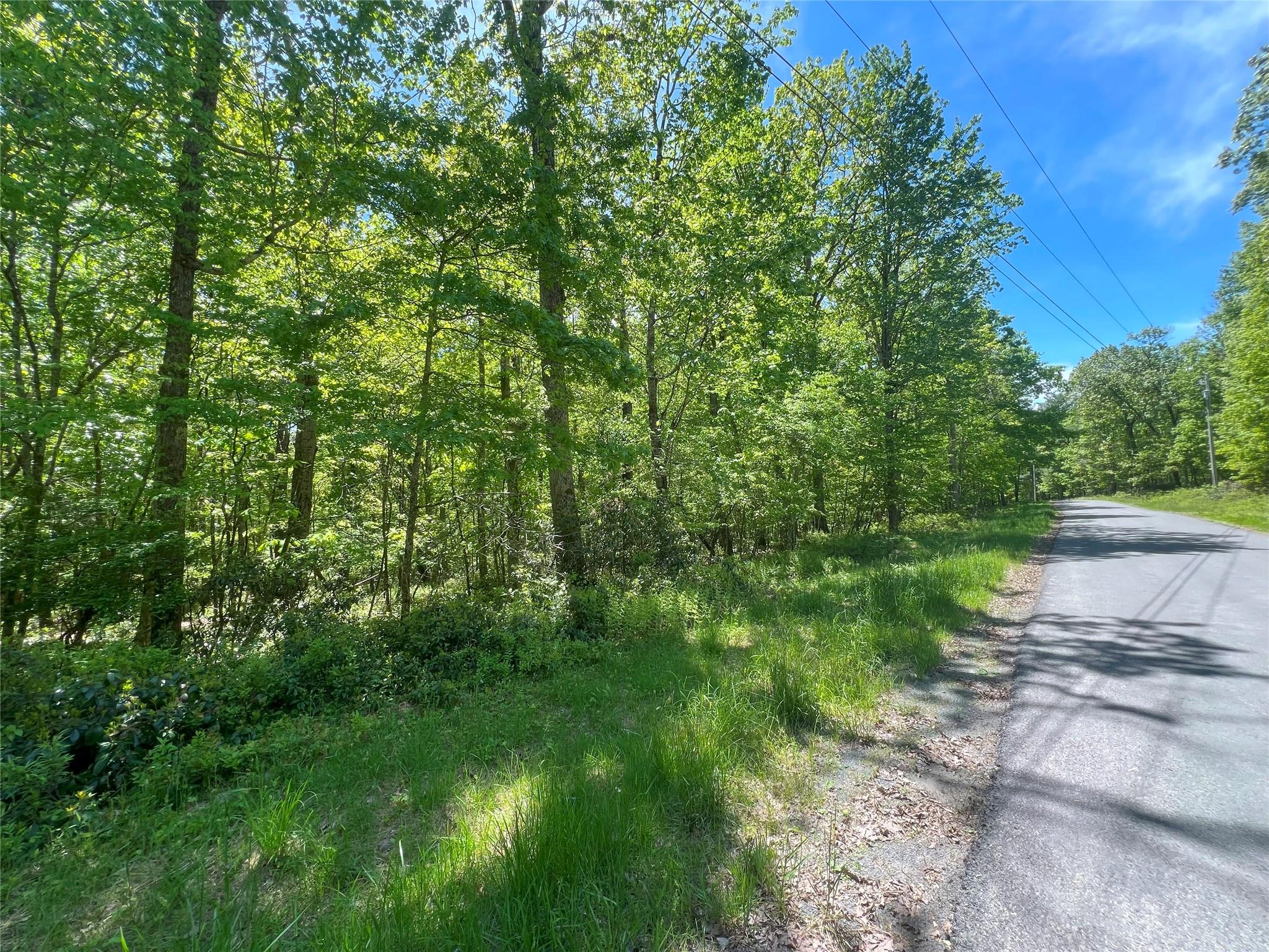 Lot 19 Brook Drive, Narrowsburg, New York image 9
