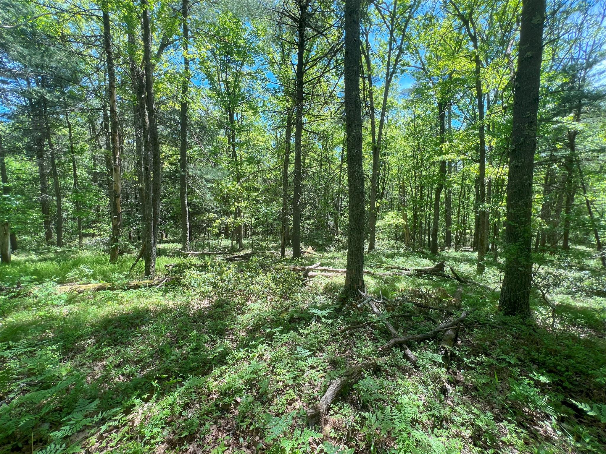 Lot 19 Brook Drive, Narrowsburg, New York image 7