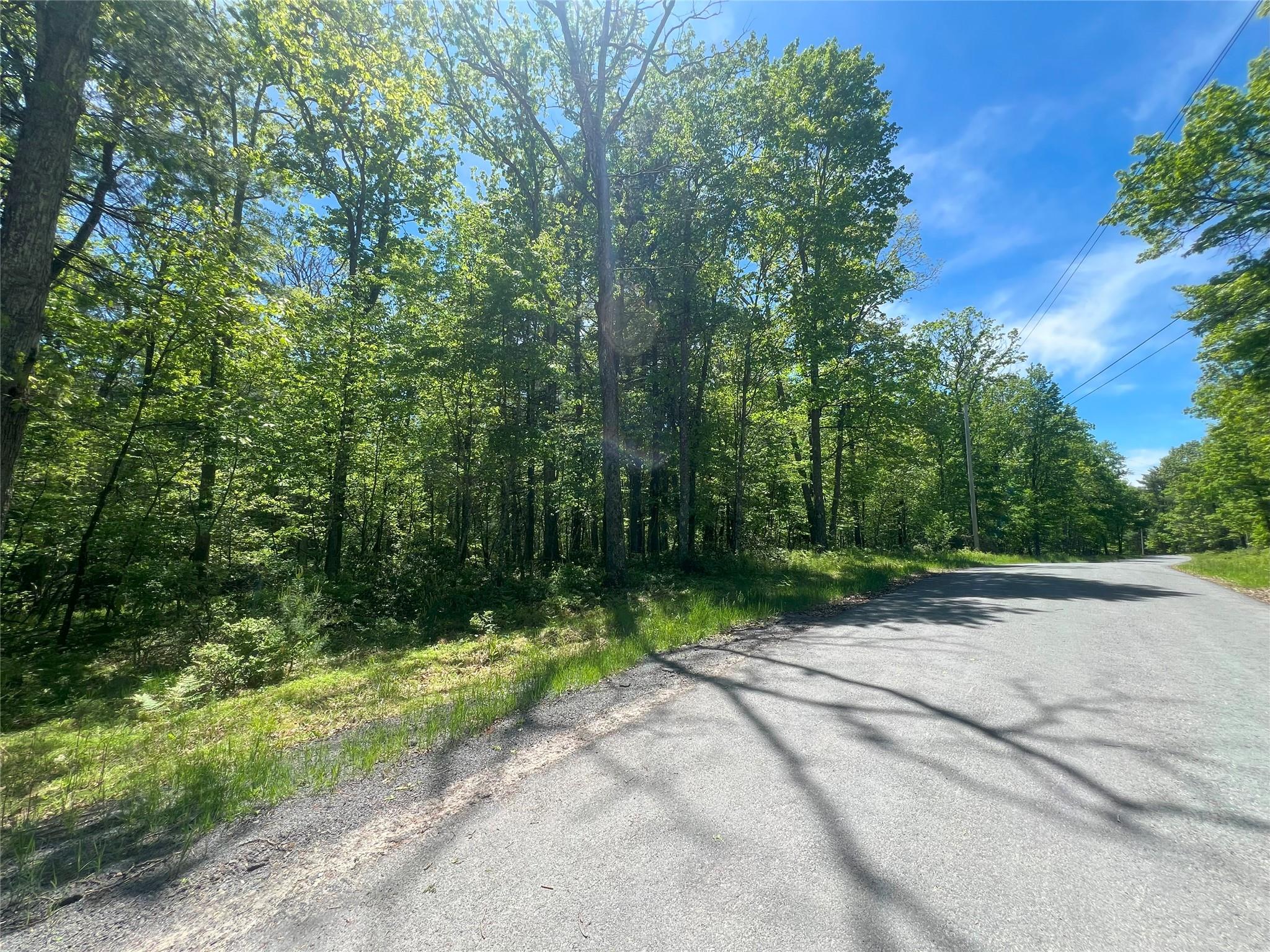 Lot 19 Brook Drive, Narrowsburg, New York image 10