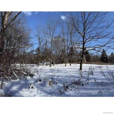 Vacant Land For Sale - Van Burenville Road<br/> Middletown, NY 10940